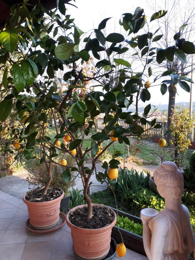 Holydays Home Little Frog Agliano Terme Exterior photo